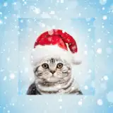 Christmas Pho.to Frames