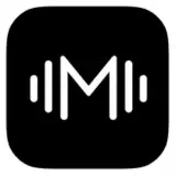 Earphones