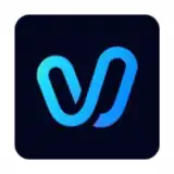 Vidu