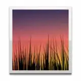 Live Wallpaper Picker
