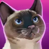 CatHotel