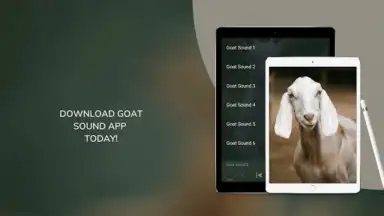 Capture d'écran de Goat Sounds 3