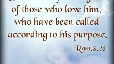 Capture d'écran de Bible Quotes Live Wallpaper 6