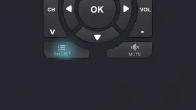 Capture d'écran de Remote Control for TV 4