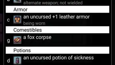 Capture d'écran de UnNetHack 5