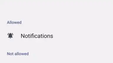 Capture d'écran de Package installer Google 4