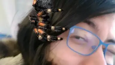 Capture d'écran de Banuba - Live Selfie Filters & Face Masks Camera 4