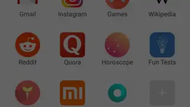 Capture d'écran de Mint Browser 7