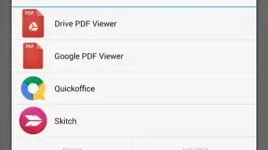 Capture d'écran de Google PDF Viewer 1