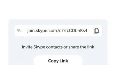 Capture d'écran de Skype 8