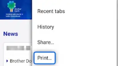 Capture d'écran de Brother Print Service Plugin 4