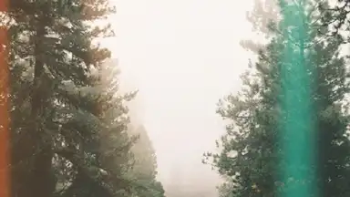 Capture d'écran de Snapchat lenses 2