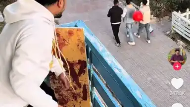 Capture d'écran de TikTok Pro 7