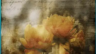Capture d'écran de Secret Notes2 8