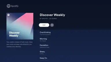 Capture d'écran de Spotify for Android TV 4