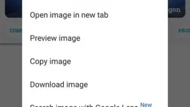 Capture d'écran de Google Chrome 10