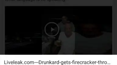 Capture d'écran de InShot Video Downloader 9