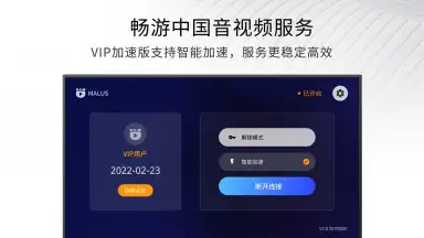 Capture d'écran de Malus VPN for TV 1