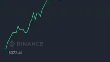 Capture d'écran de Binance 12