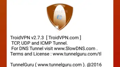 Capture d'écran de Troid VPN 2
