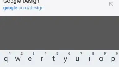 Capture d'écran de Chrome Canary 3