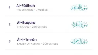 Capture d'écran de The Holy Quran - English 11
