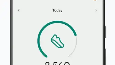 Capture d'écran de Fitbit 1