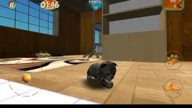 Capture d'écran de Cat Simulator 4