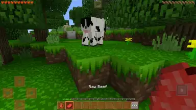 Capture d'écran de King Craft 6