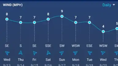 Capture d'écran de Local Weather: Weather Forecast 4