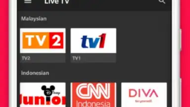 Capture d'écran de ZippyTV Xstream 4