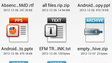 Capture d'écran de EnFile Manager 5