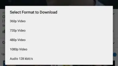 Capture d'écran de Youtube Downloader- fastest youtube downloader 9