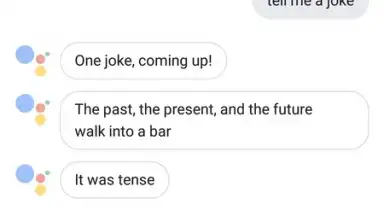 Capture d'écran de Google Assistant Go 1