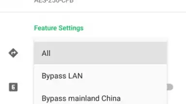 Capture d'écran de Shadowsocks 23
