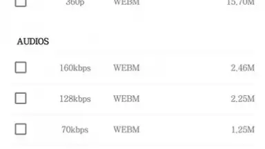 Capture d'écran de VidPaw App 4