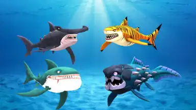 Capture d'écran de My Shark Show 13