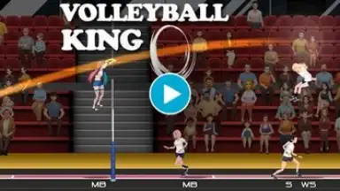 Capture d'écran de VolleyBall King 1