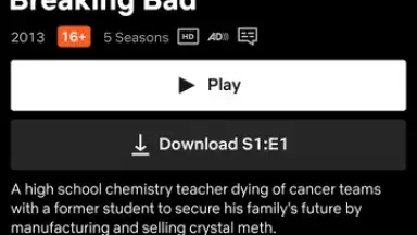 Capture d'écran de Netflix (Android TV) 15