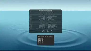 Capture d'écran de Basketball Livescore Widget 5