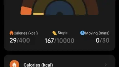 Capture d'écran de Mi Fitness (Xiaomi Wear) 5