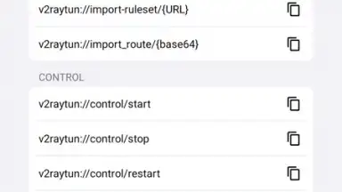 Capture d'écran de v2RayTun 10