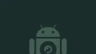 Capture d'écran de DroidCam 1