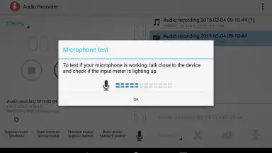 Capture d'écran de Audio Recorder 1