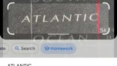 Capture d'écran de Google Lens 4
