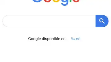Capture d'écran de IDM (internet download menager) 4