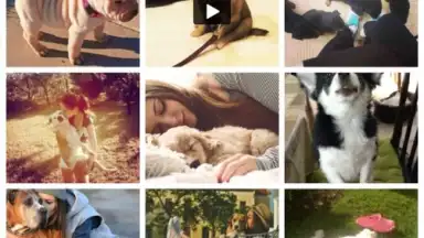 Capture d'écran de We Heart It 2