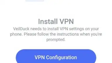 Capture d'écran de Veilduck VPN 5