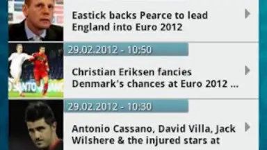 Capture d'écran de UEFA EURO 2012 by Carlsberg 1