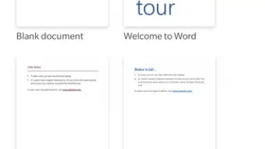 Capture d'écran de Microsoft Word 9